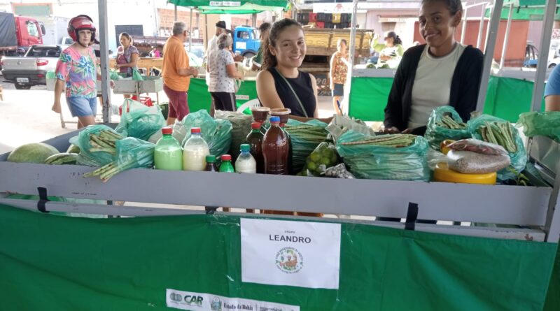 Feira Agroecológica de Campo Alegre de Lourdes gera renda e fortalece organização social de agricultores do município