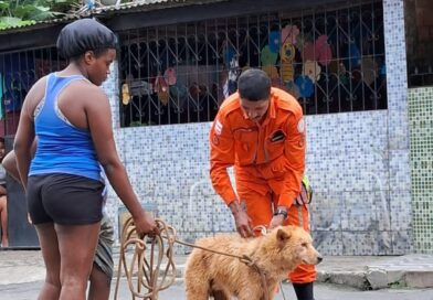 Bombeiros resgatam cachorro de buraco de 3 metros de profundidade