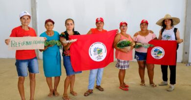Assentados e assentadas da reforma agrária elevam a produção de alimentos saudáveis na Bahia