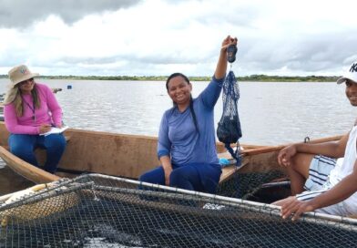 Piscicultoras de Itiúba investem na criação de peixes para alcançar autonomia