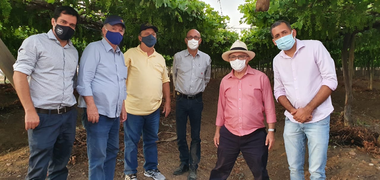 Uvas do Vale: Agricultura irrigada na região do São Francisco rende vinhos de qualidade