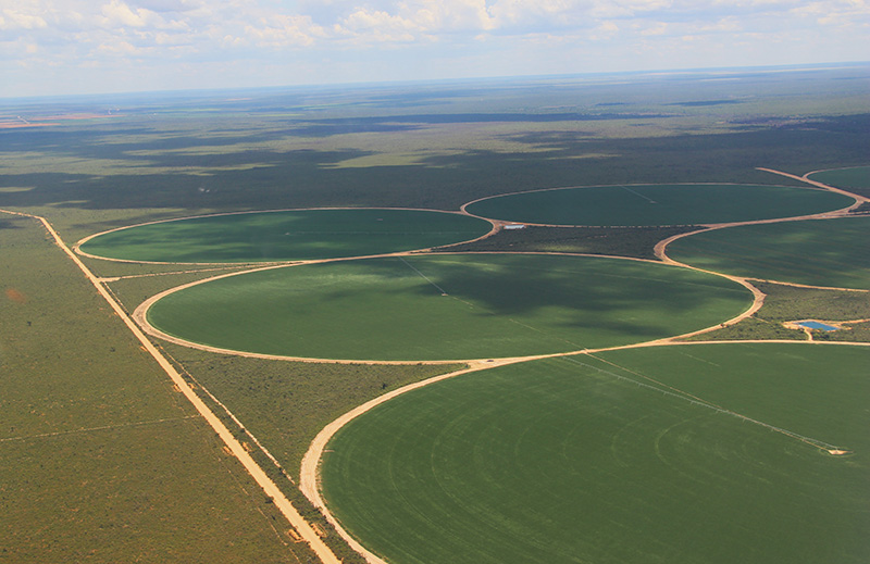 Setor agrícola reduz impactos na economia brasileira
