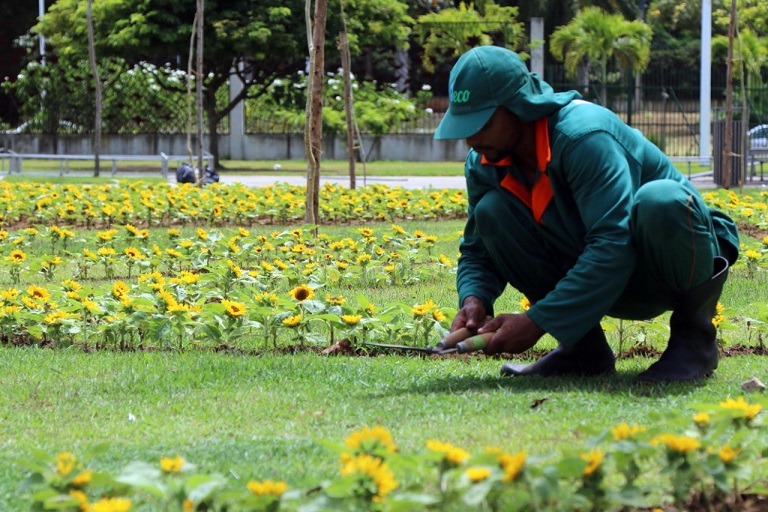 Primavera chega amanhã e inspira cuidados com a saúde mental