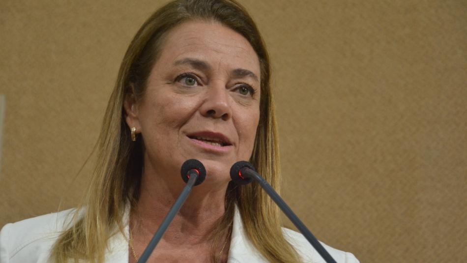 Fabíola Mansur sugere crédito para classe artística