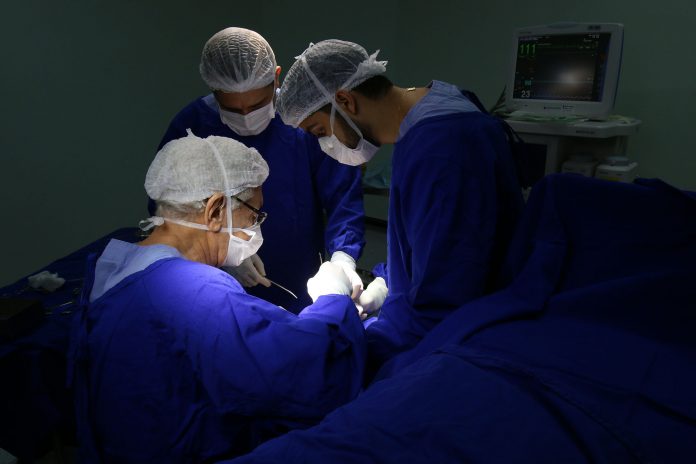 Bahia ocupa a primeira posição em transplante renal no Nordeste entre os meses de janeiro e novembro