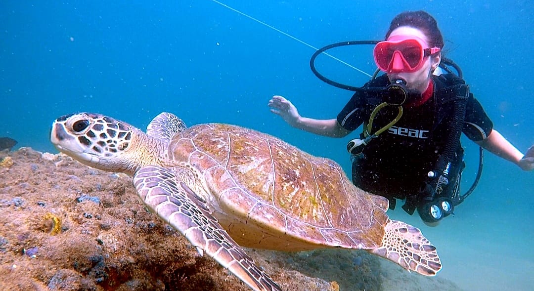 Mergulho no Parque Marinho é atração para turistas e soteropolitanos