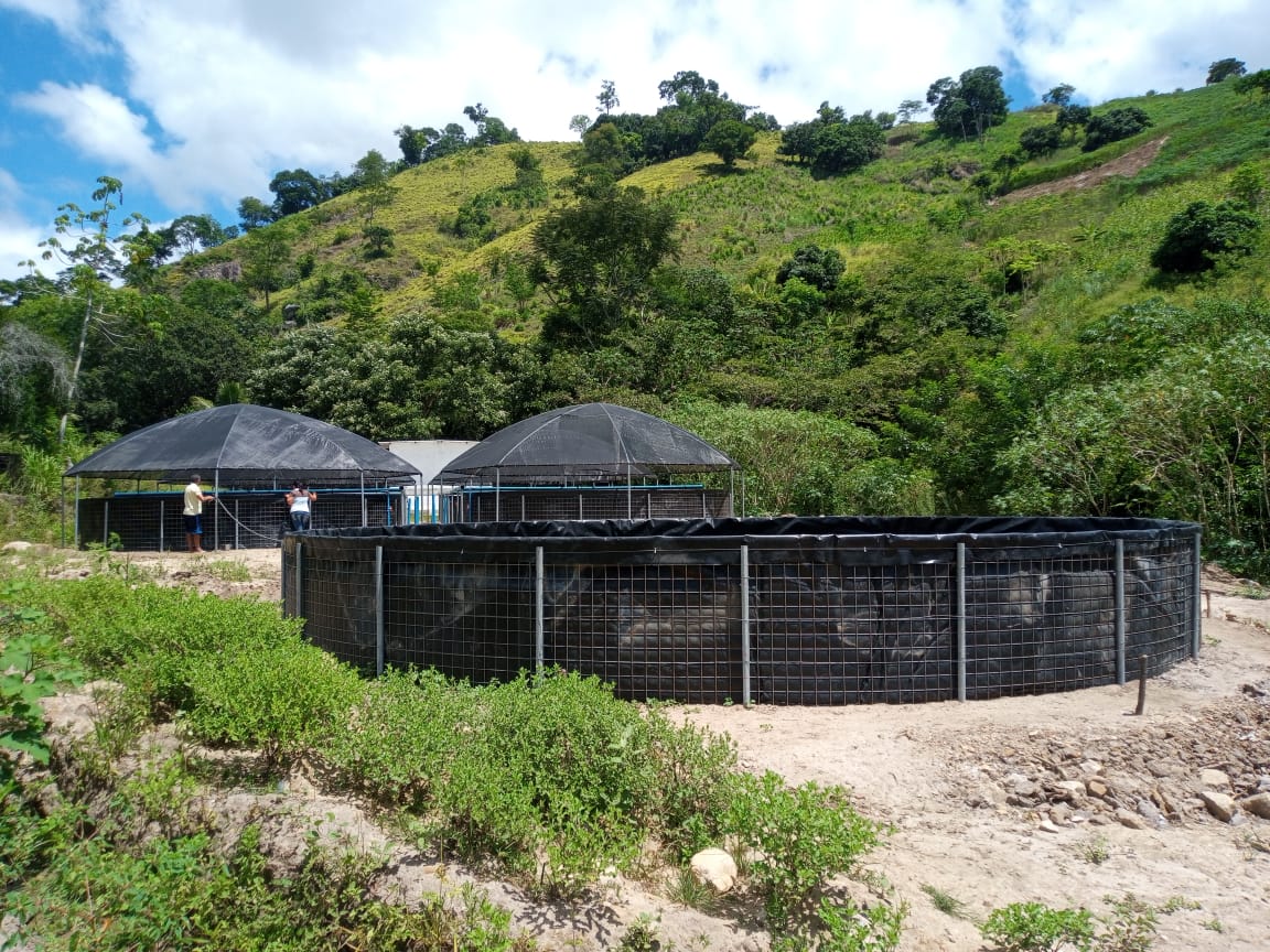 Tecnologia em sistema de aquicultura prevê aumento de 900% na produção de peixes na zona rural de Caatiba