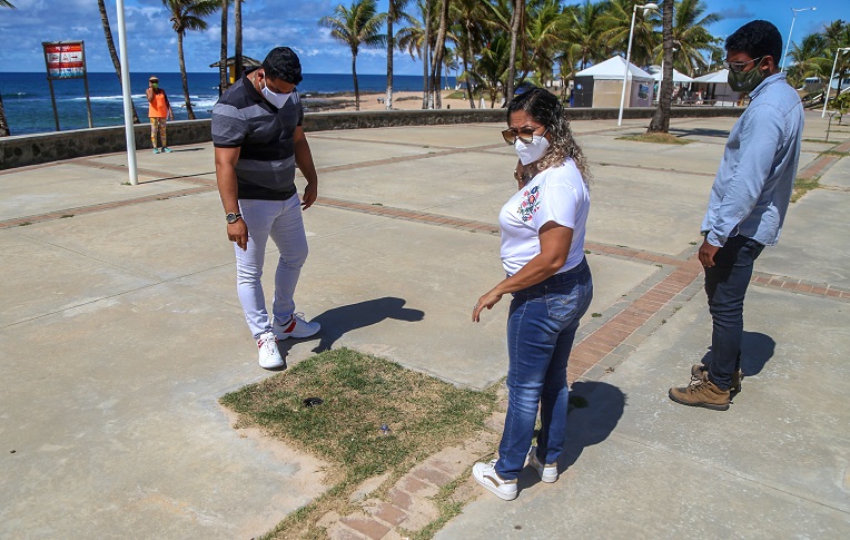 Prefeitura reforça ações no paisagismo e arborização de Salvador