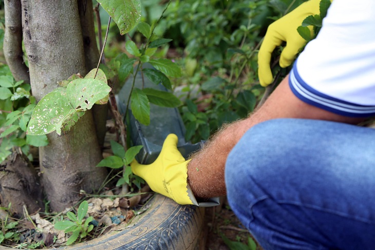 CCZ vai implantar mais de 500 armadilhas contra dengue em Salvador nesta quarta (24)