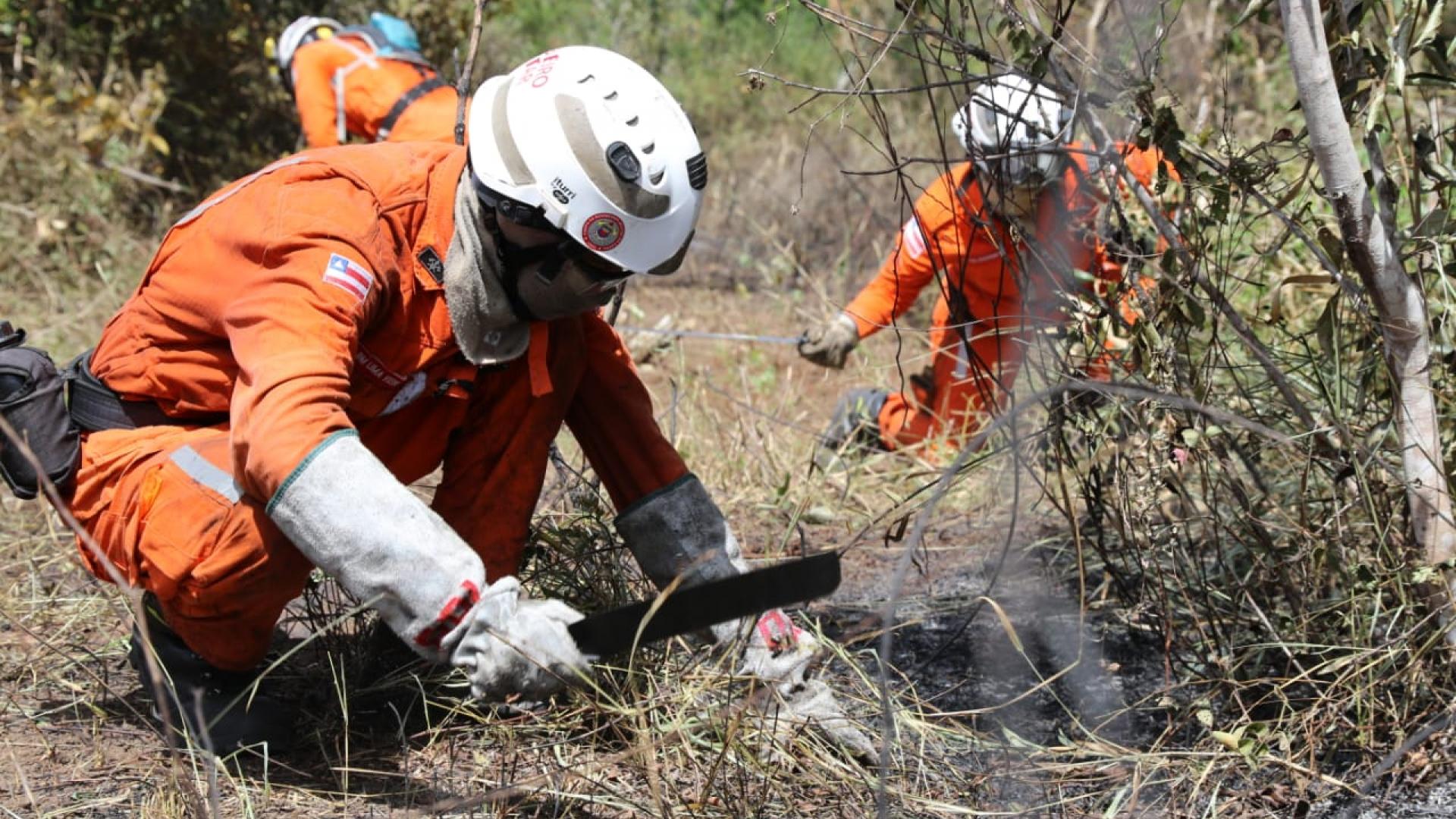 Bombeiros militares combatem incêndio em vegetação no Parque Nacional da Chapada Diamantina