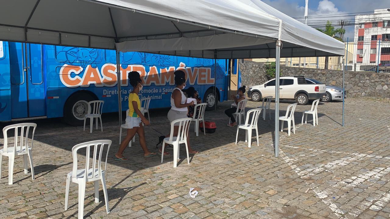 Salvador é a capital do país que mais avança em políticas públicas em prol dos pets