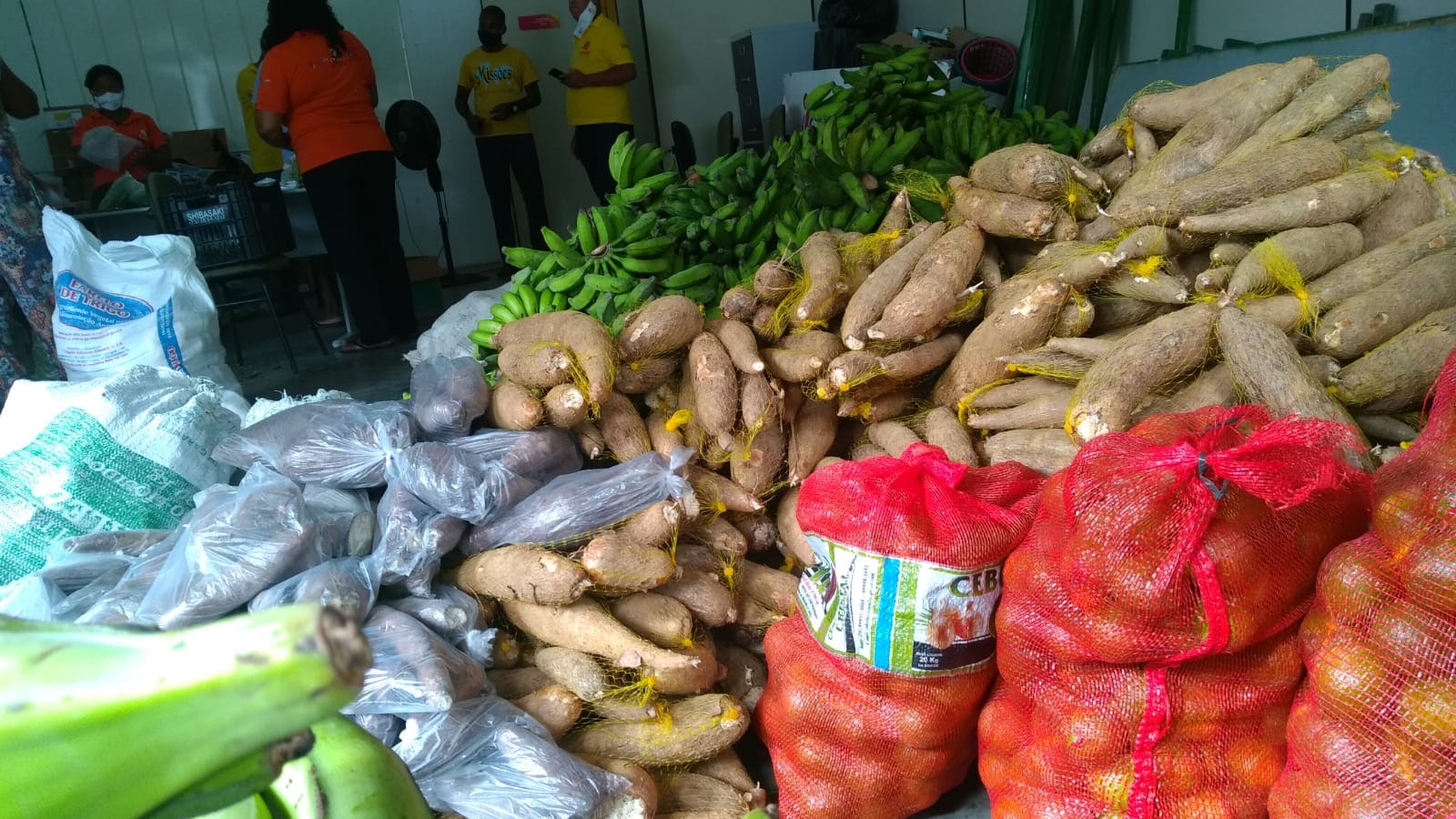 Campanha de organizações e movimentos sociais entrega cesta básica a 2.556 mil famílias na Bahia