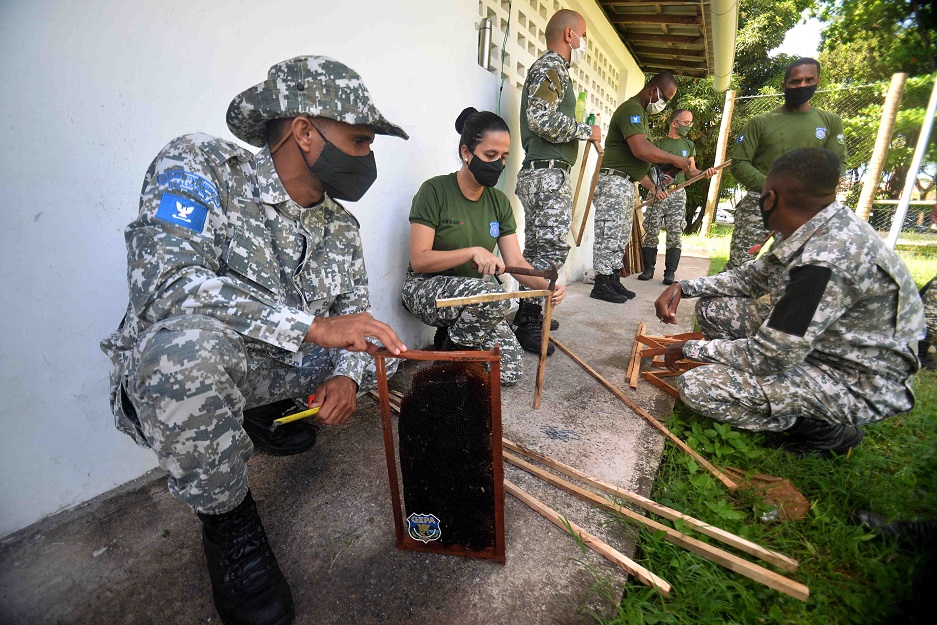 Guardas Municipais são capacitados para captura de enxame de abelhas