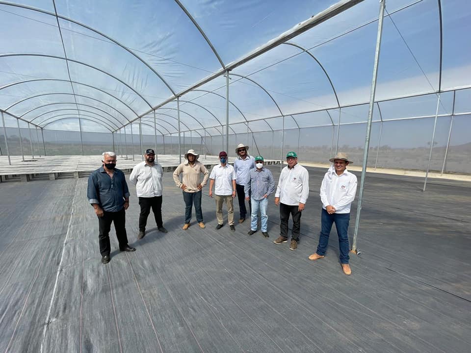 Oeste baiano: Ceplac visita novo polo de produção de cacau do Brasil