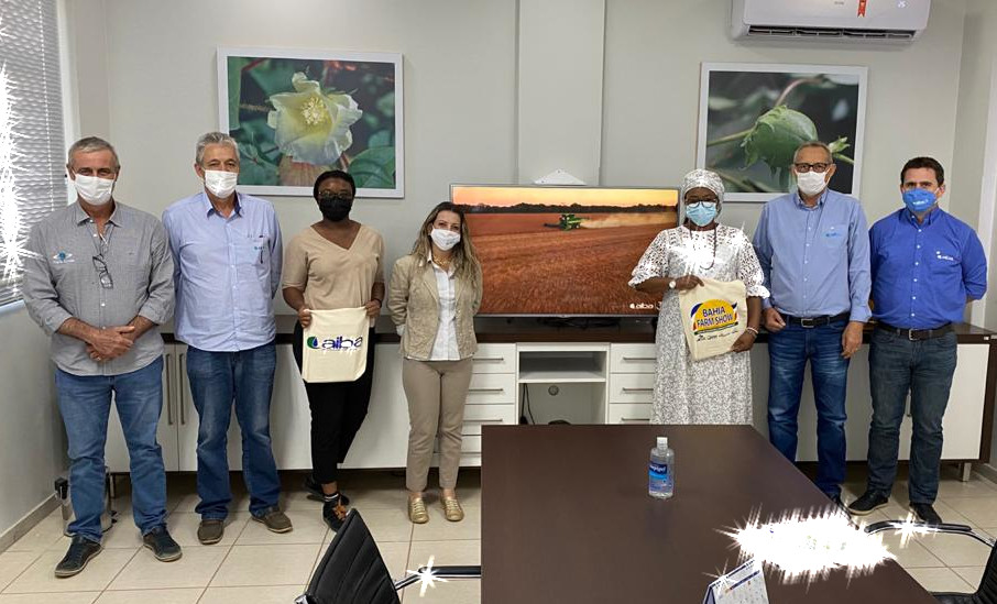 Aiba apresenta agricultura do oeste baiano em visita de comissão Africana
