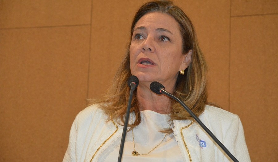 Deputada Fabíola Mansur solicita aeronave para combate a incêndio em Uibaí