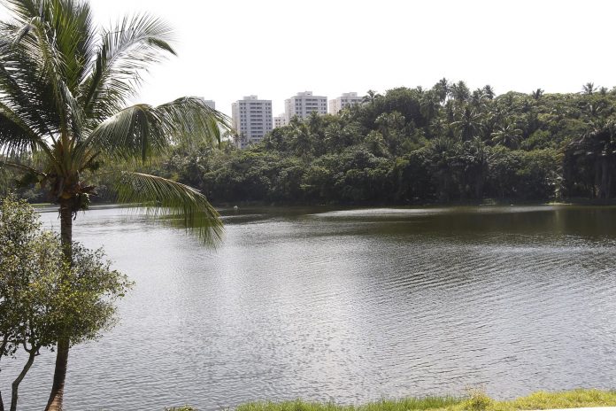 Governo do Estado estabelece parceria com BNDES para modernização de parques estaduais