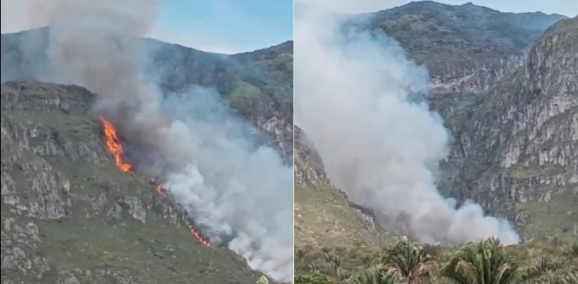 Incêndio de grandes proporções ameaça Parque Estadual das Sete Passagens