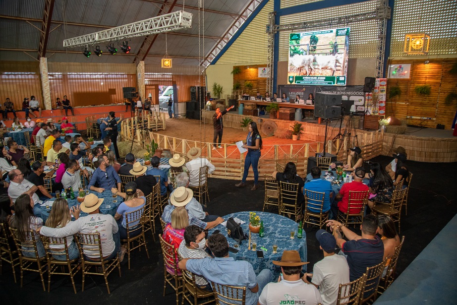 Exposição une o campo à cidade e gera renda para população
