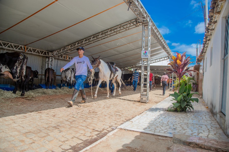 Pioneirismo. Expo Belo Campo é modelo de exposição para o País