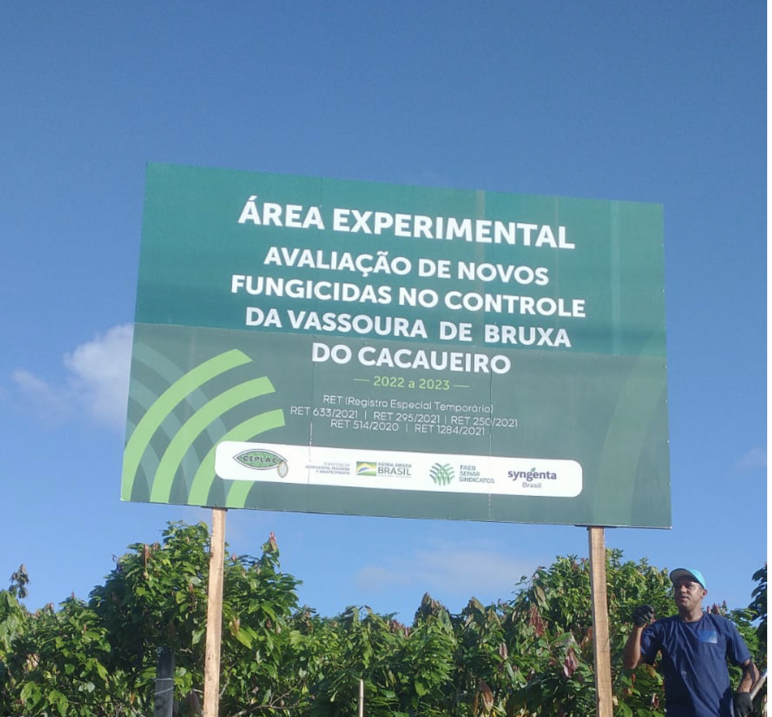 Bahia testa  fungicida contra vassoura de bruxa em lavoura cacaueira