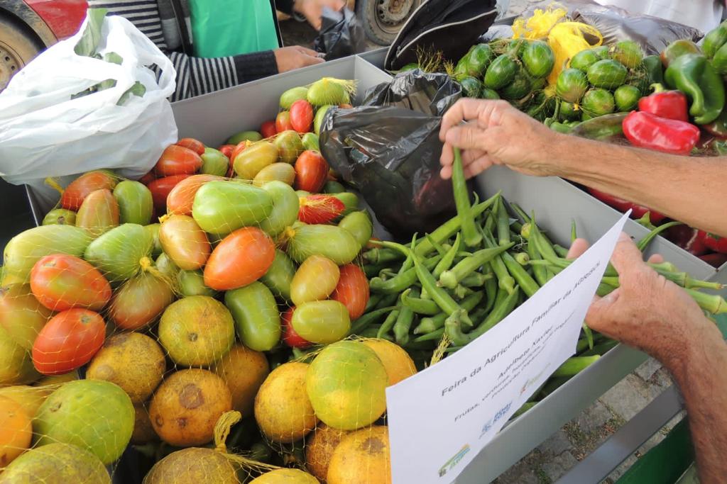 Boa Nova passa a contar com Feira Agroecológica aos sábados