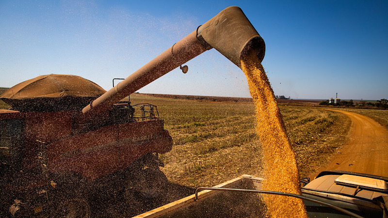 Agronegócio baiano fecha primeiro trimestre de 2022 em alta 