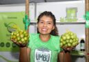 11º Festival do Umbu em Uauá: Celebração da Agricultura Familiar e sabores regionais impulsiona economia local