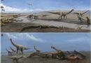 Descoberta de nova espécie de dinossauro na Bahia resgata história paleontológica do Brasil