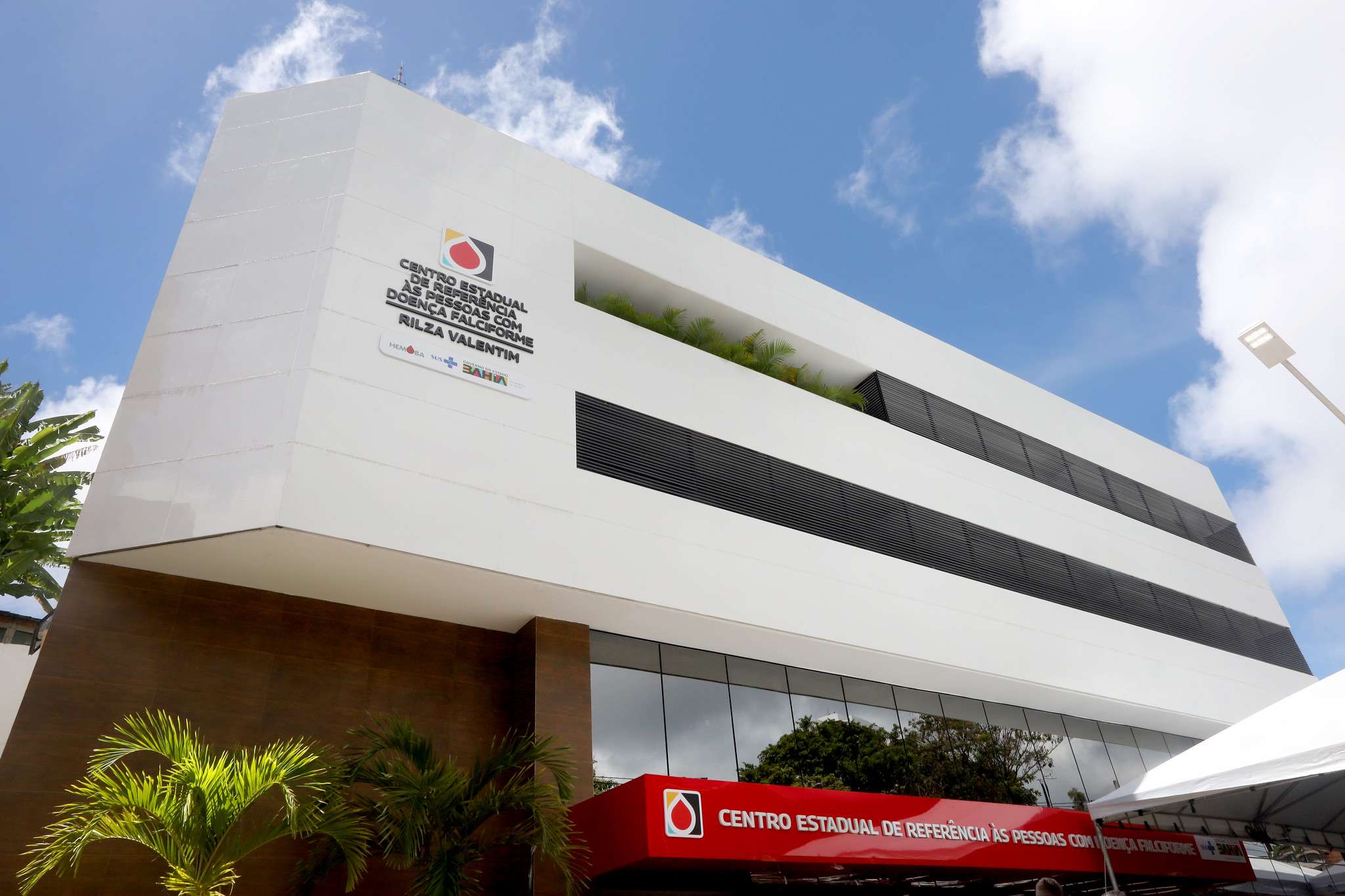 Censo sobre Doença Falciforme na Bahia será apresentado na 18ª Expoepi
