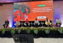 Formação fortalece educação midiática e amplia agências de notícias nas escolas da Bahia