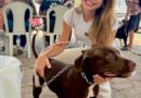 Pessoas com deficiência poderão acessar locais públicos e privados acompanhadas de cães de assistência após aprovação de projeto na Câmara de Salvador