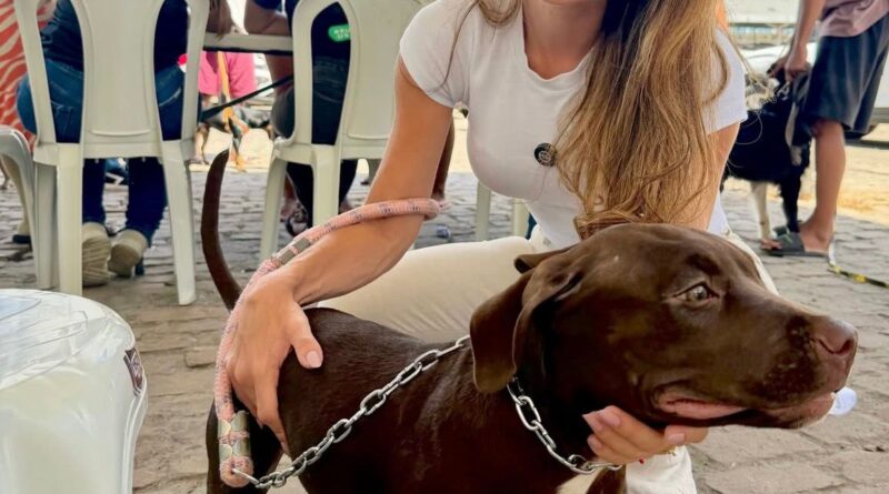 Pessoas com deficiência poderão acessar locais públicos e privados acompanhadas de cães de assistência após aprovação de projeto na Câmara de Salvador