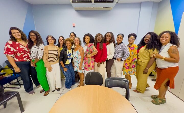 Comissão de Defesa dos Direitos da Mulher debate PLE 148/26 em reunião presidida por Ireuda Silva