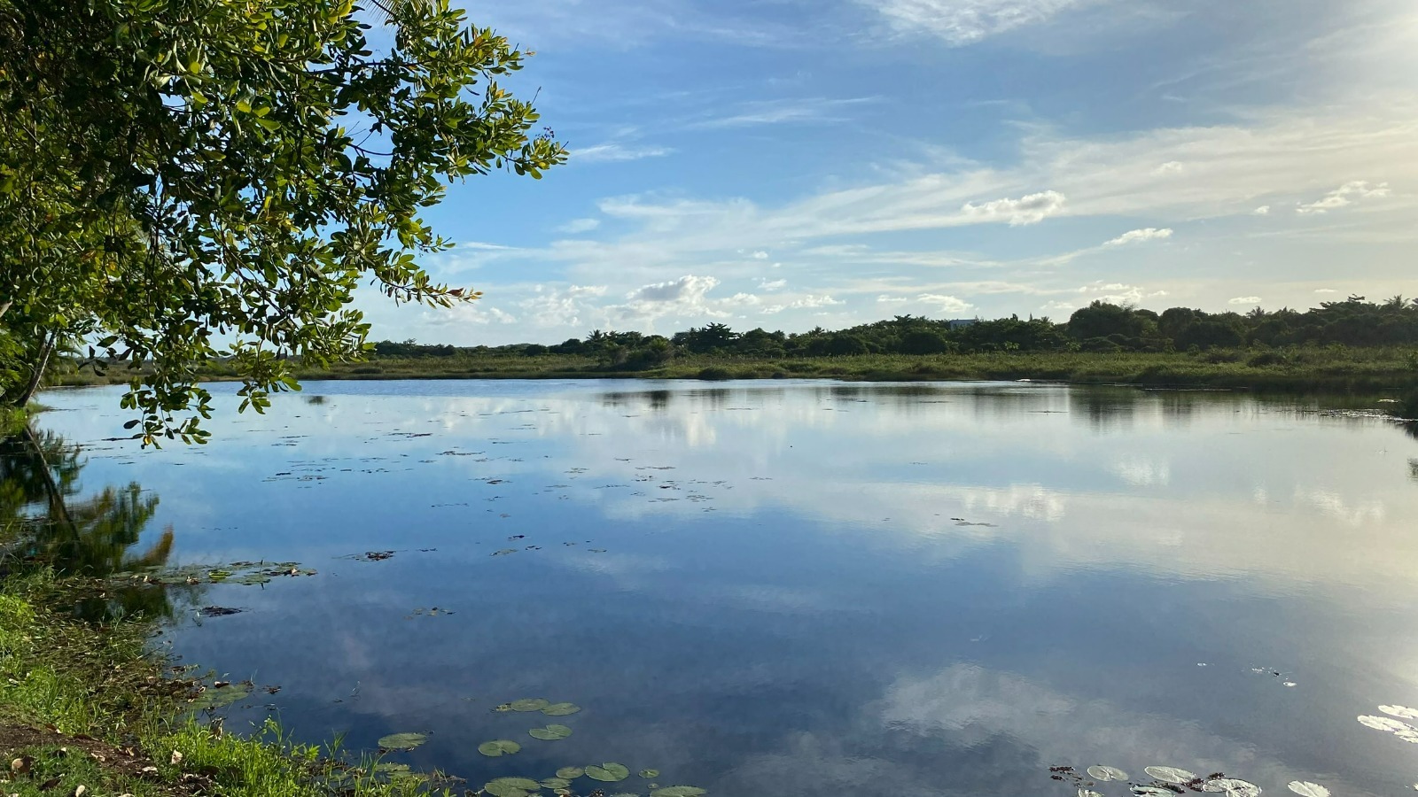 Busca Vida transforma consciência ambiental em ação e celebra Semana do Meio Ambiente com resultados concretos