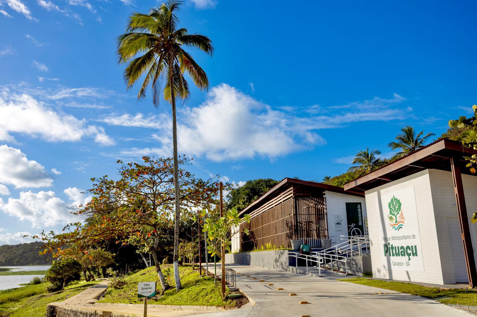 Pituaçu renasce: Governo entrega parque requalificado enquanto prefeitura vende áreas verdes de Salvador
