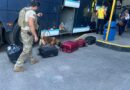 Canil da CORE reforça segurança do Camaforró durante Operação Faro em Camaçari