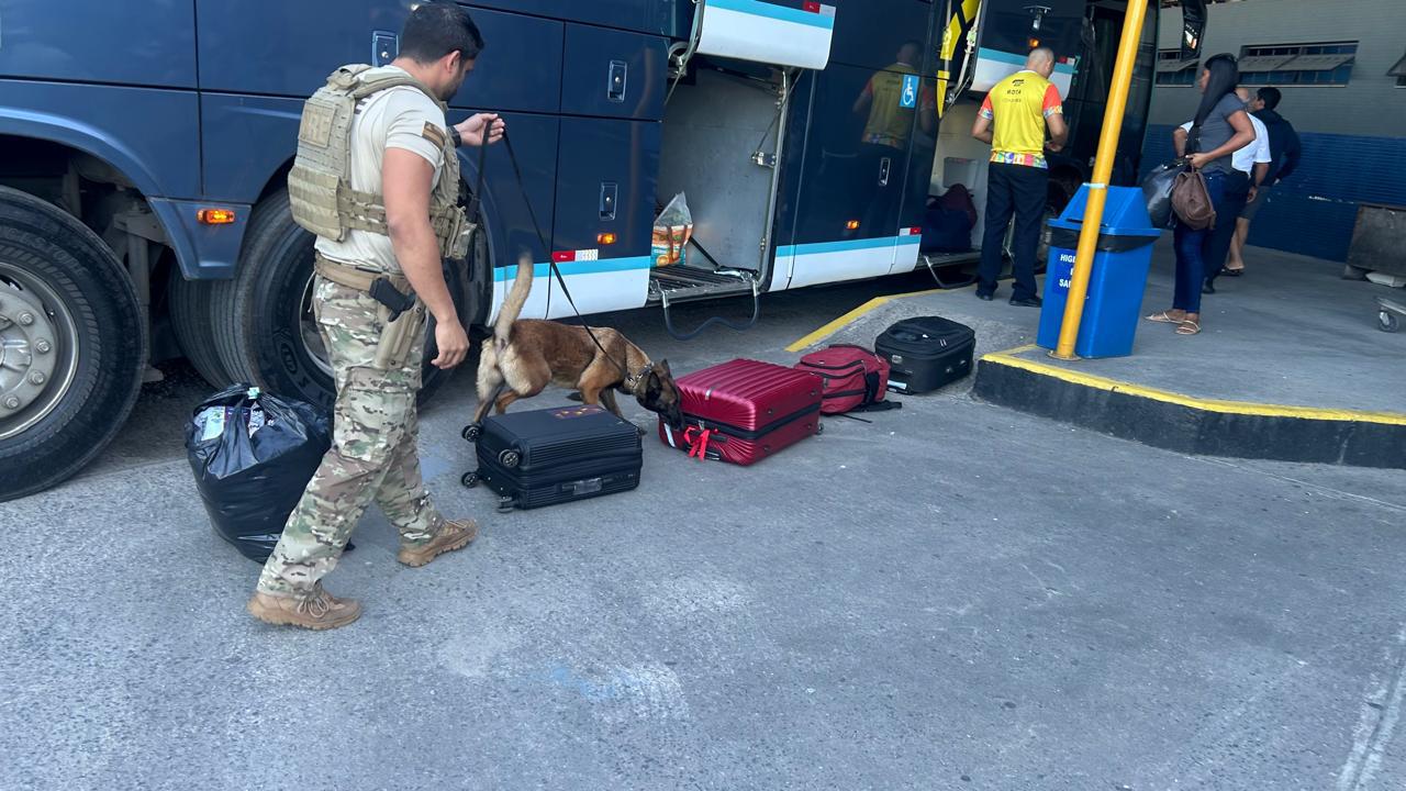Canil da CORE reforça segurança do Camaforró durante Operação Faro em Camaçari
