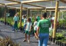 Em Itaparica, estudantes transformam visitas escolares em experiências científicas