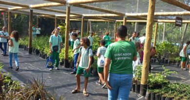 Em Itaparica, estudantes transformam visitas escolares em experiências científicas