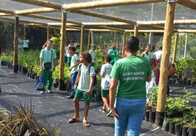 Em Itaparica, estudantes transformam visitas escolares em experiências científicas