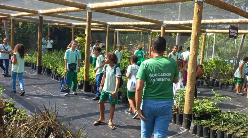 Em Itaparica, estudantes transformam visitas escolares em experiências científicas