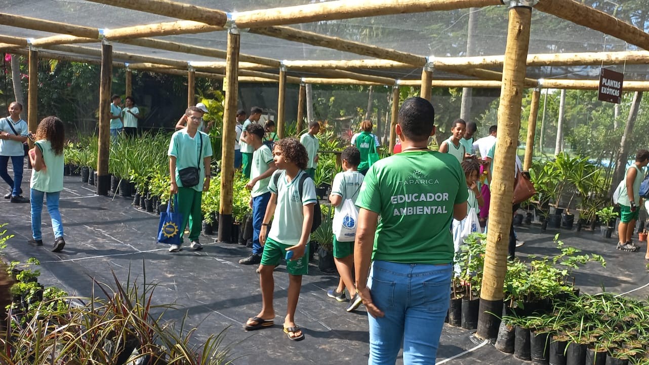 Em Itaparica, estudantes transformam visitas escolares em experiências científicas