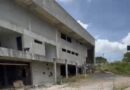 Lídice diz que time de ACM Neto esconde abandono de escola para crianças autistas em Salvador