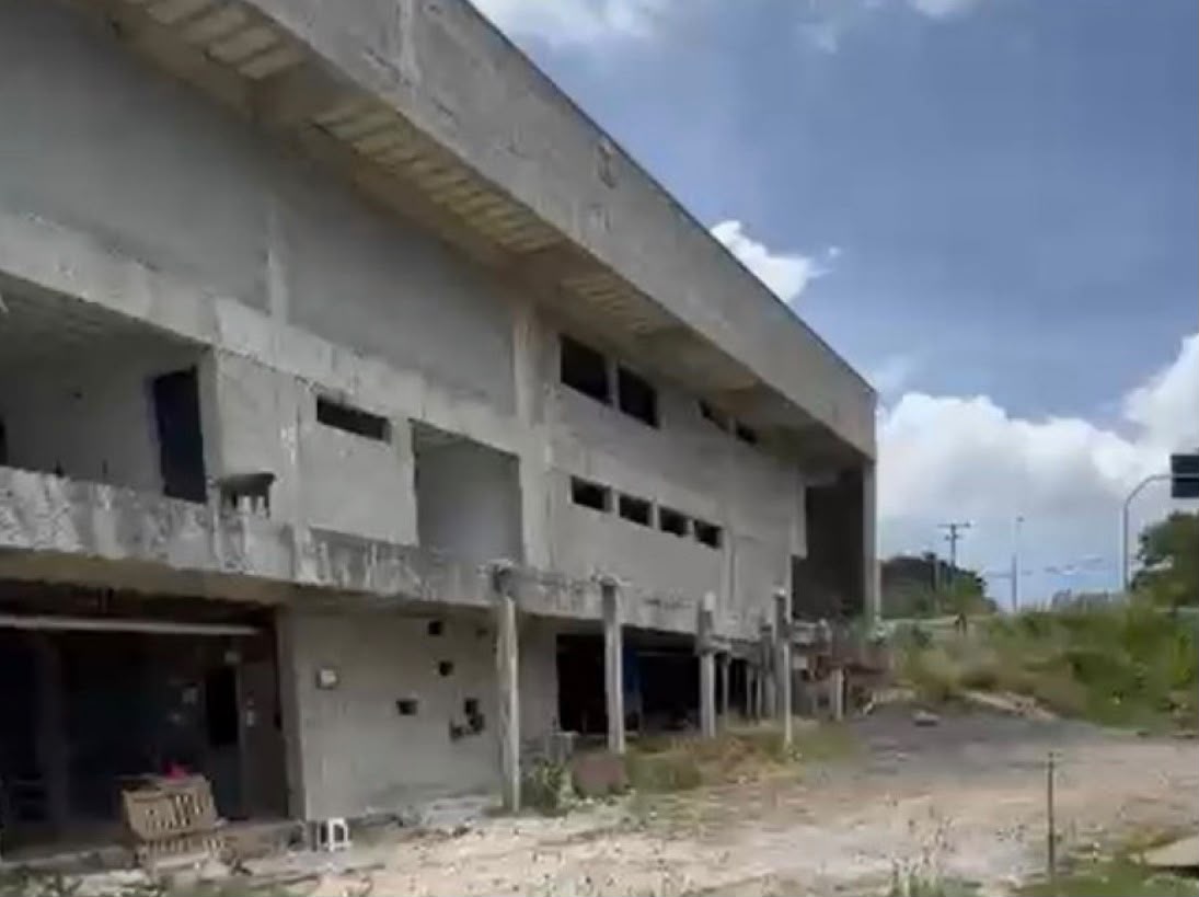 Lídice diz que time de ACM Neto esconde abandono de escola para crianças autistas em Salvador