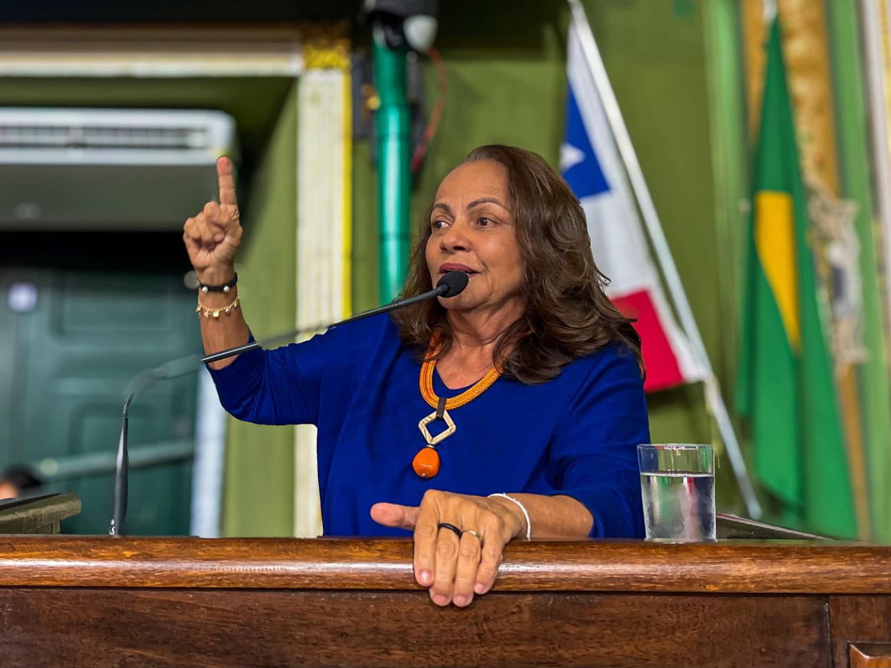 Aladilce cobra explicações de Bruno Reis após prefeito admitir conhecimento de irregularidades