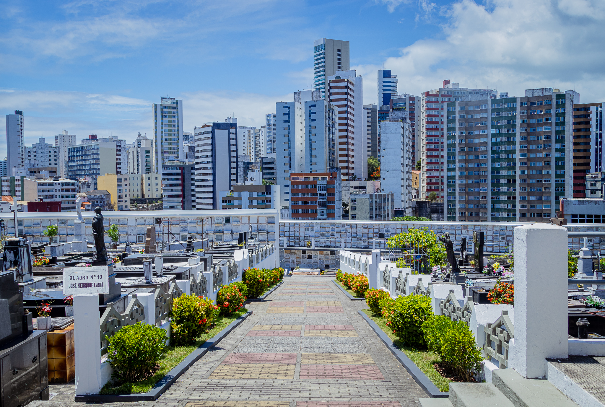Contrato, carência e cobertura devem ser avaliados antes da contratação de plano funerário