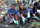 Com a presença de Daniel Cady e Mariene de Castro, estudantes da rede pública plantam 3 mil mudas de mangue em trecho do VLT