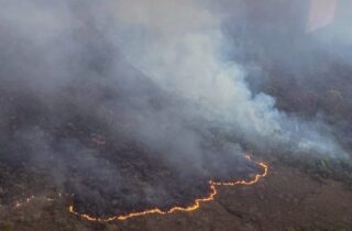 Incêndio atinge serra na divisa entre Jacobina e Caém e mobiliza atenção dos Bombeiros