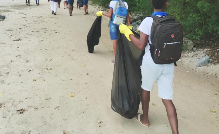 Mutirão recolhe 37 kg de resíduos em praia e manguezal de Ilha de Maré, em Salvador